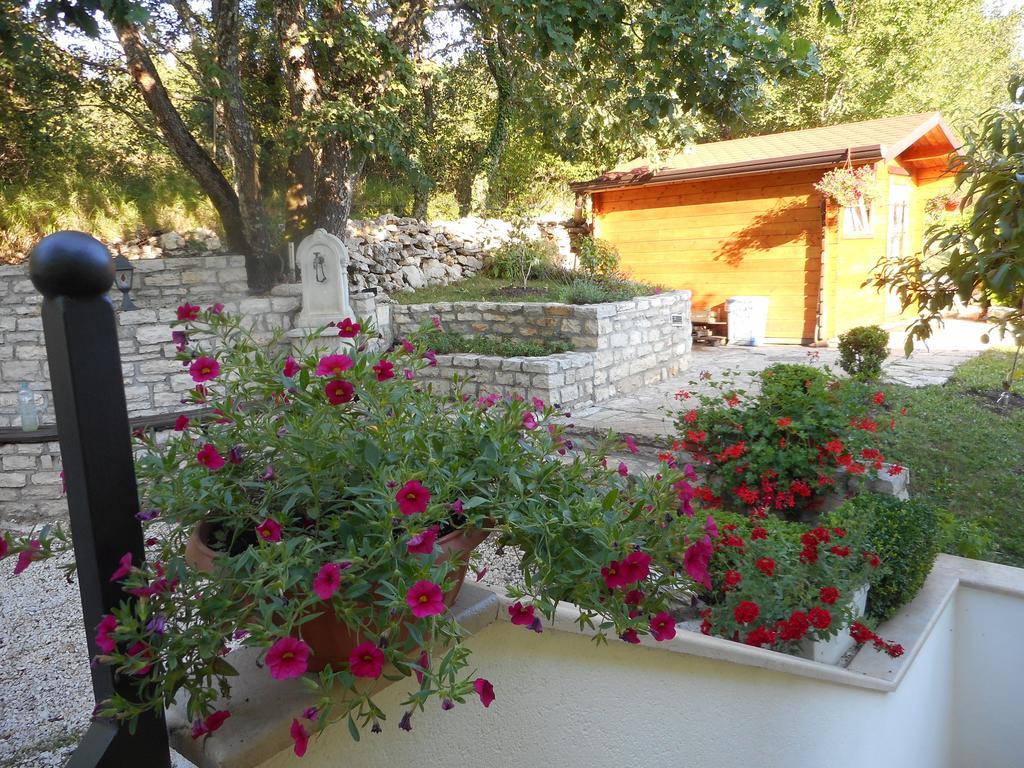 Apartment Sterna Grožnjan