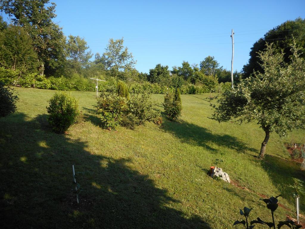 Apartment Sterna Grožnjan